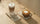 Cold vs Hot Coffee: Which One Wins?