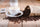 5 Drinks That Instantly Boost Your Energy (Without the Crash)