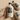 VANILLA | COFFEE CONCENTRATE